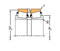 Double-Row Bearing Type_Type SR