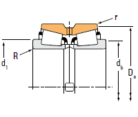 Double-Row Bearing Type_Type TNASWE